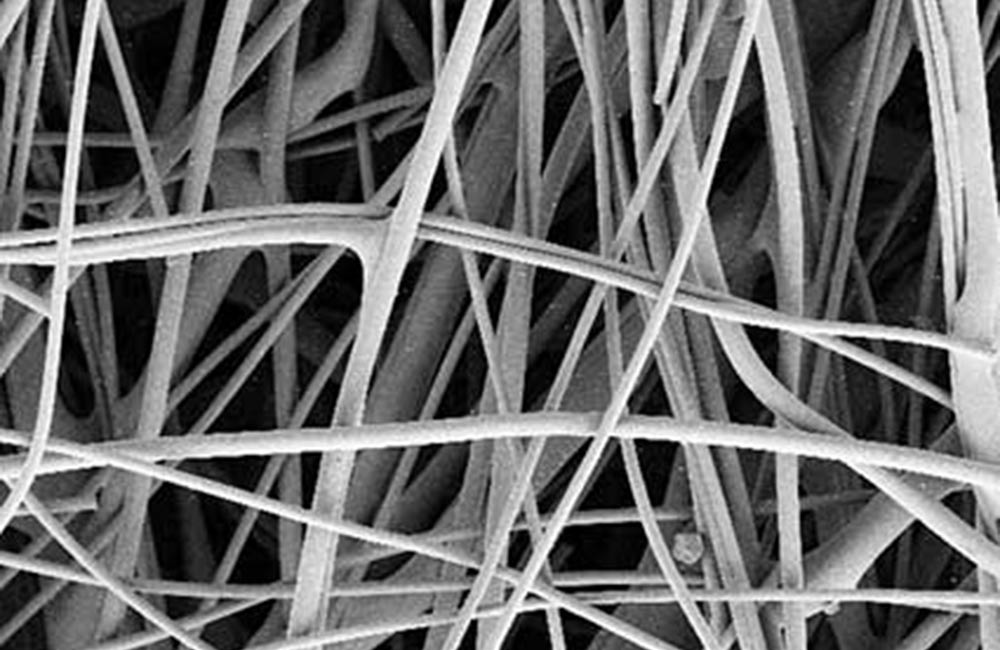 Fiber based track-etched membranes