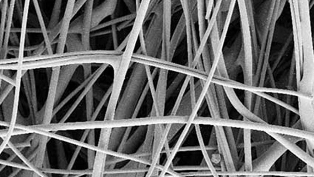 Fiber-Based track-etched membranes