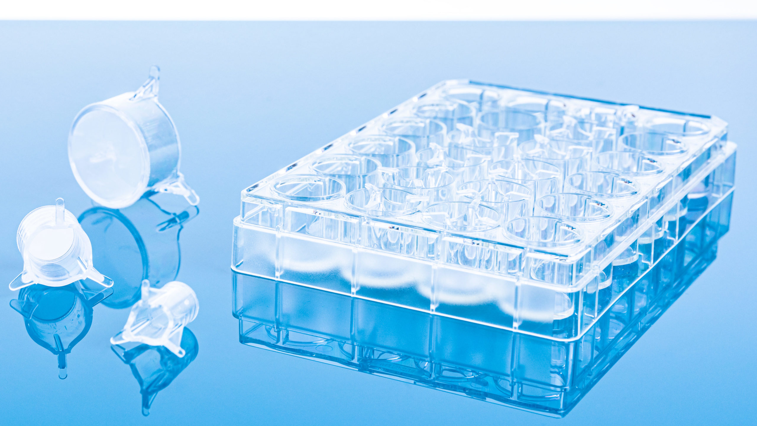 Three cell culture inserts in different sit near a well plate